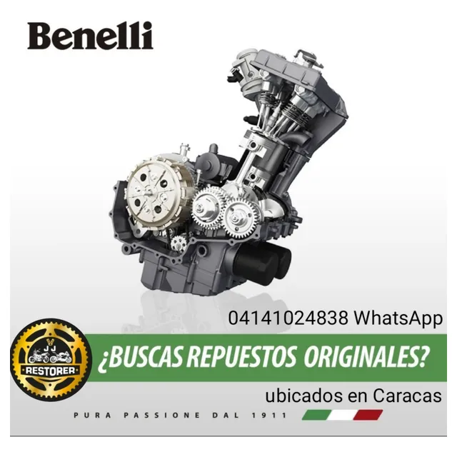 Repuestos Y Servicios Para Benelli Trek 899 1130