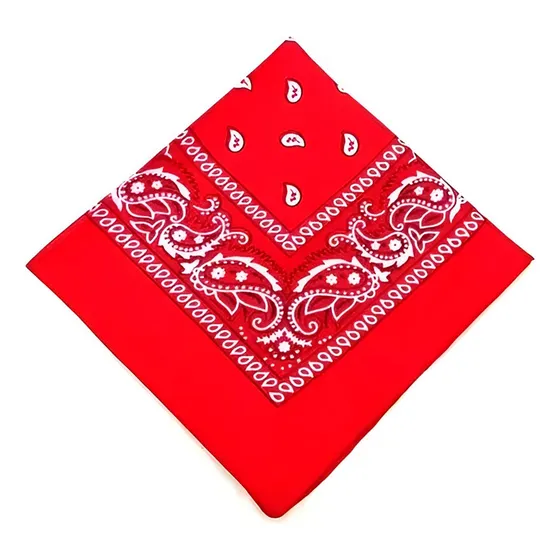 Pañoleta Bandana Estampada X12 3426-1