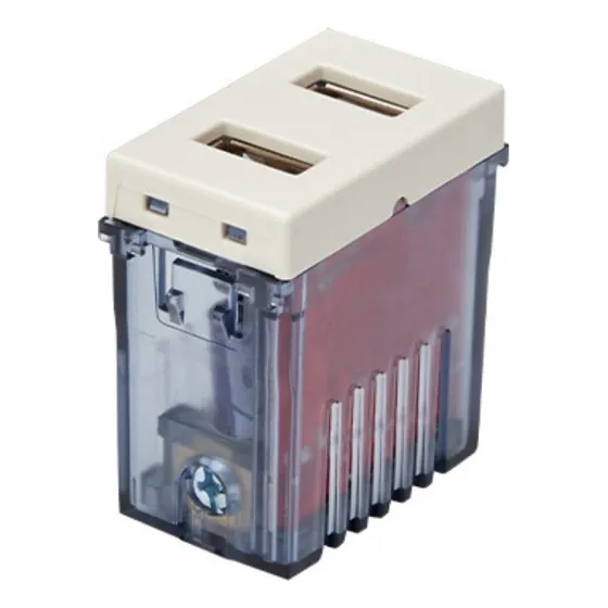 Toma Stanford Modulo Doble Usb 100-240v 5v