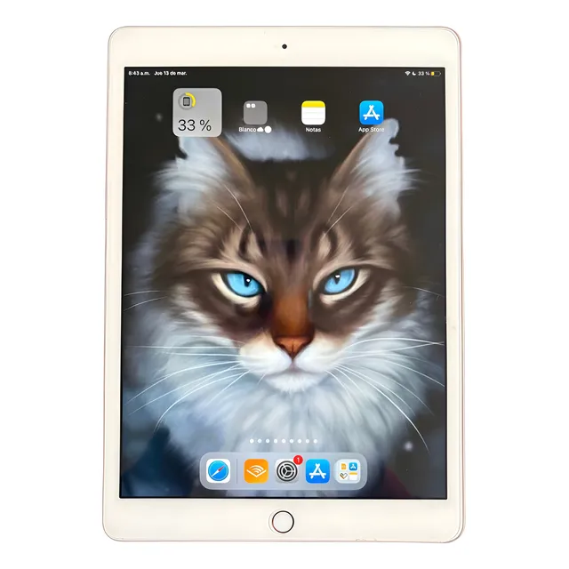 iPad 128 Gb 7a Generación