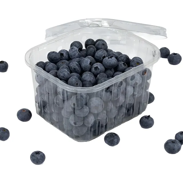 1 Kilogramo Arándanos Organicos