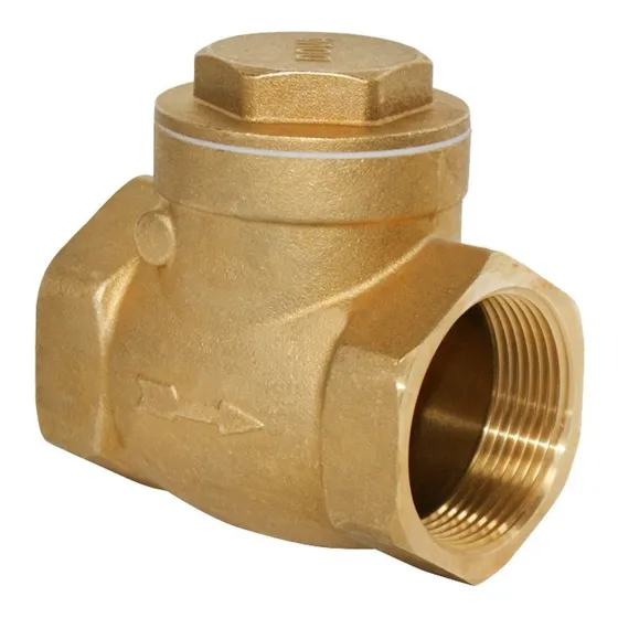 Paquete 4 Pzs Válvula Check Tipo Columpio 2 Pulgadas B8001-2