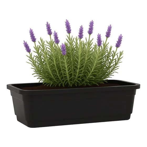 Maceta Jardinera N°55 Plastico Interior Exterior Duradera