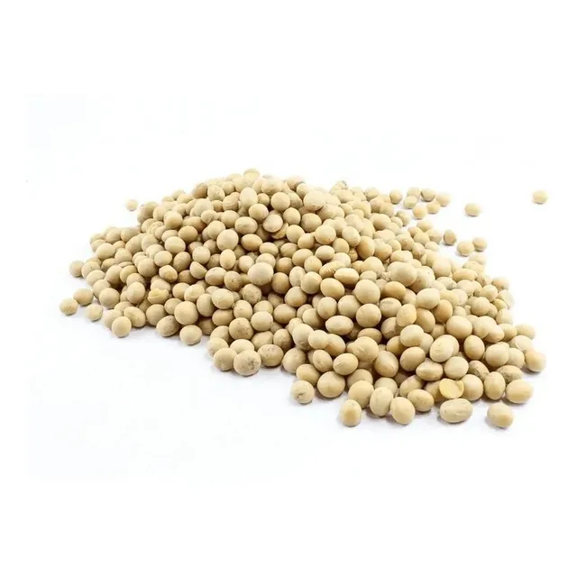 Soja Em Grãos Organico Vegano Fonte Fibras E Vitaminas 2kg  