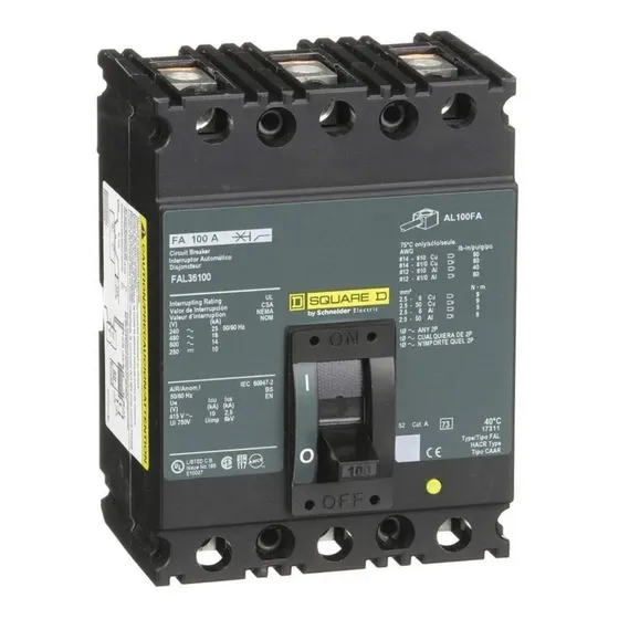 Interruptor Termomagnético 100 A 600 V 3 P Fal36100 Square D