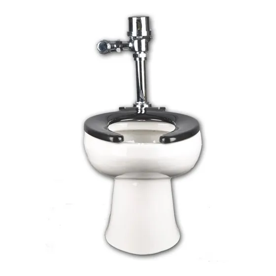 Wc. Sanitario Carlton Con Fluxumetro Y Tapa 