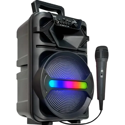 Caixa De Som Amplificada 5510 Bluetooth 100w Usb Rádio Trc Preto