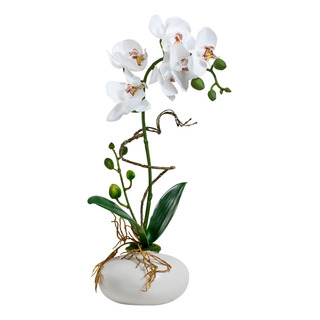 Maceta Orquídeas Artificial Home Interiors Maceta Orquídeas Artificial Home Interiors
