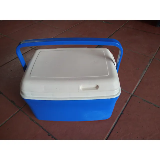 Hielera Pequeña Guateplast ¢9000