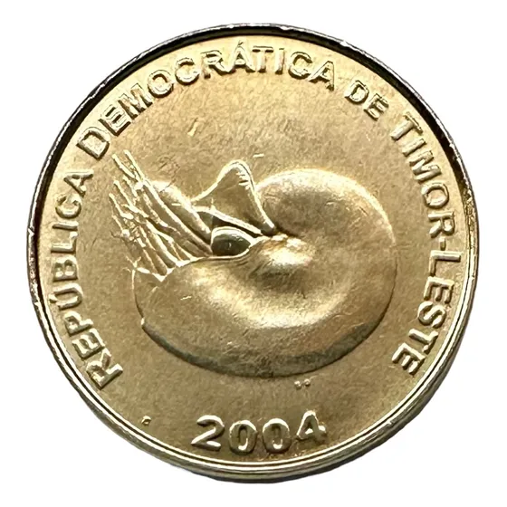Timor Del Este - 1 Centavo - 2004 - Km #1 - Nautilus :