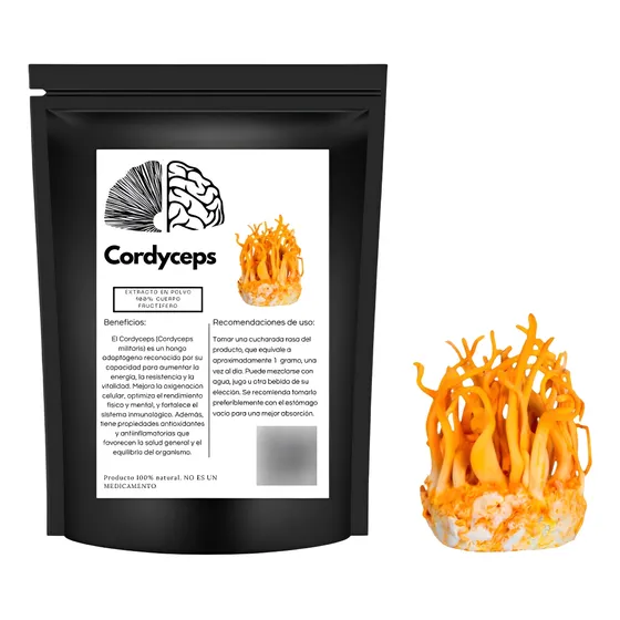 Cordyceps Militaris, -polvo Concentrado Premium- 100g.
