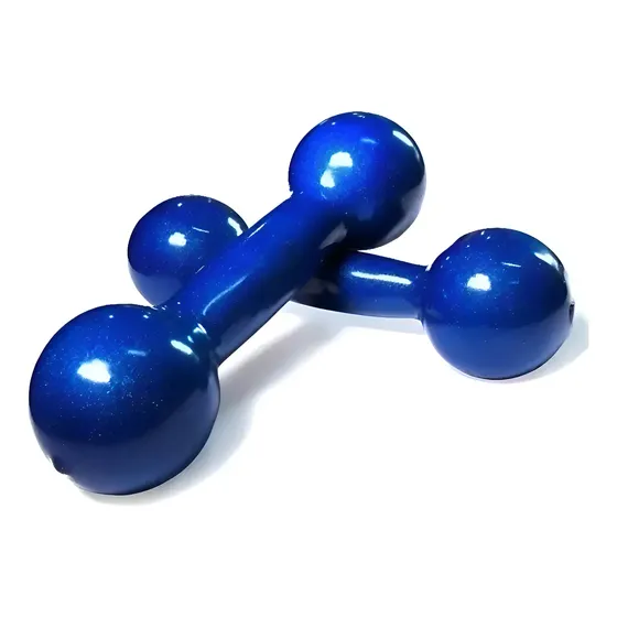 Par de Halteres Emborrachados de 2 Kg para Treino Cor Azul