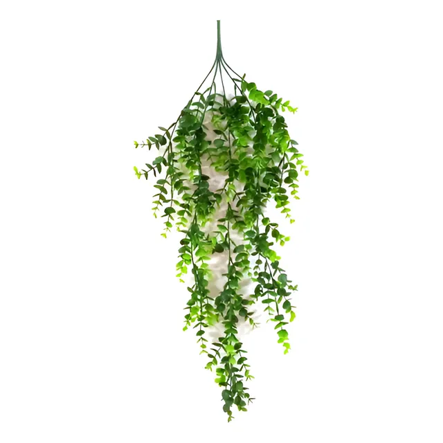 Planta Colgante Hiedra Común Pequeña 