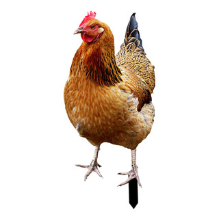 Estatua De Gallina, Estaca De Jardín, 33x15,2x0,1 Cm Estatua De Gallina, Estaca De Jardín, 33x15,2x0,1 Cm