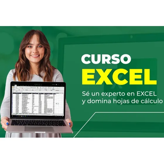 Aprende Excel Des De Básico A Experto, Envió Inmediato