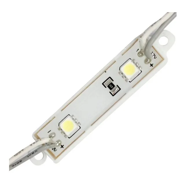 Modulo Led 2 Diodos Blanco Skyled Ultra Eco 100 Pz