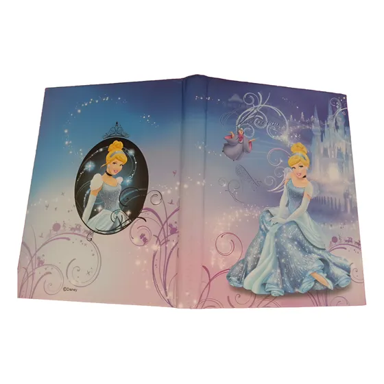 Álbum De Fotos De Princesas Disney Varios Modelos (36 Fotos)