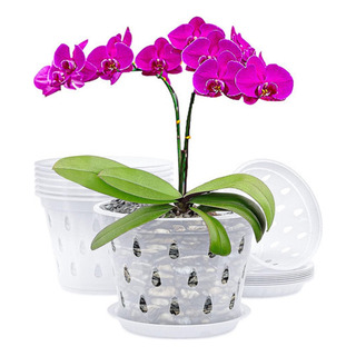 G Kit De 5 Macetas Rígidas Transparentes - Orquídeas G Kit De 5 Macetas Rígidas Transparentes - Orquídeas