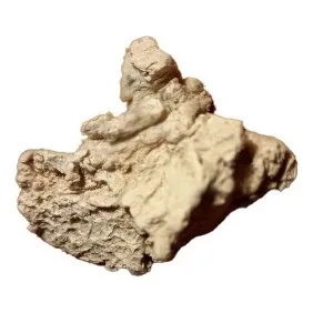 Mineral Actinolita En Bruto. Mineralogía. Ciencias Naturales