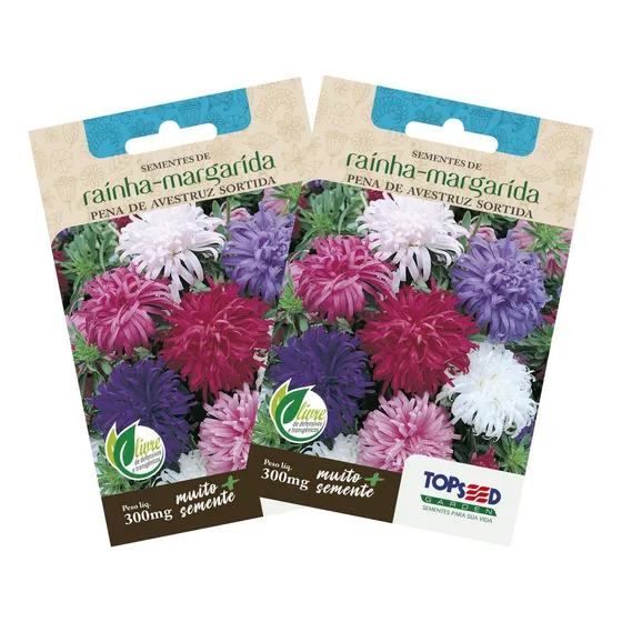 2x Sementes De Rainha Margarida Pena De Avestruz Topseed