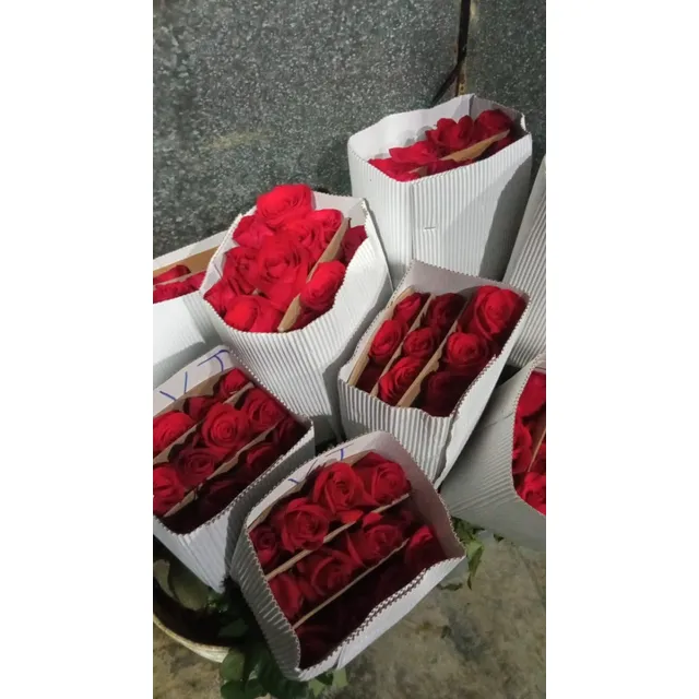 Rosas - Clavel - Girasol Gerbera - Astromelias - Follajes