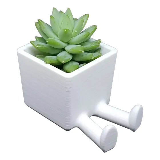 2 Materos Pequeños Modernos Para Plantas Suculentas Cactus