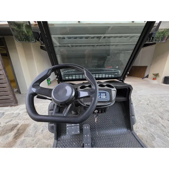Carro Tipo Buggy De 4 Pasajeros
