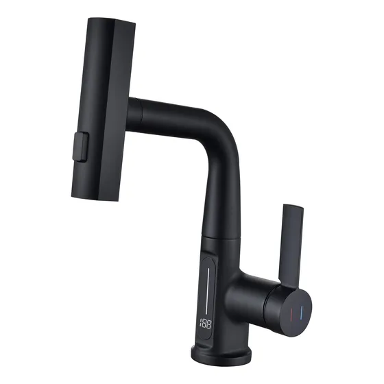 Grifo Baño Pantalla Temperatura Elevable Rociador Extraible