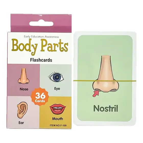 Flashcards Para Niños Partes Del Cuerpo X 36 Unidades Úpale