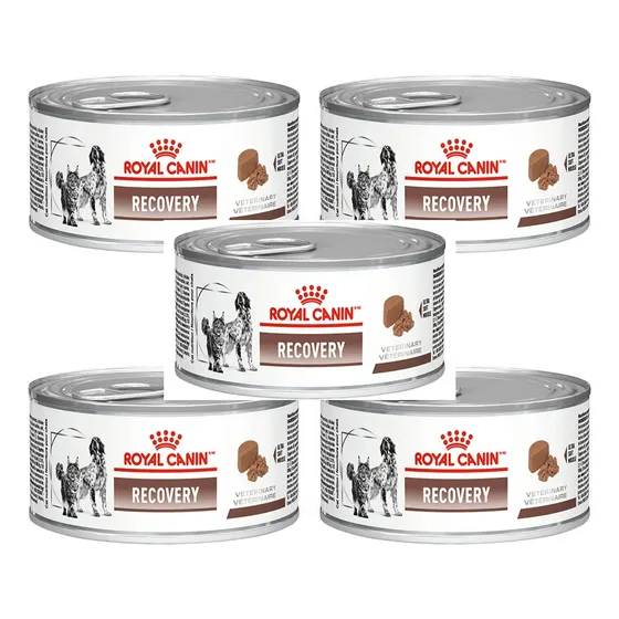 Royal Canin 5 Latas Recovery Para Cães E Gatos 195g