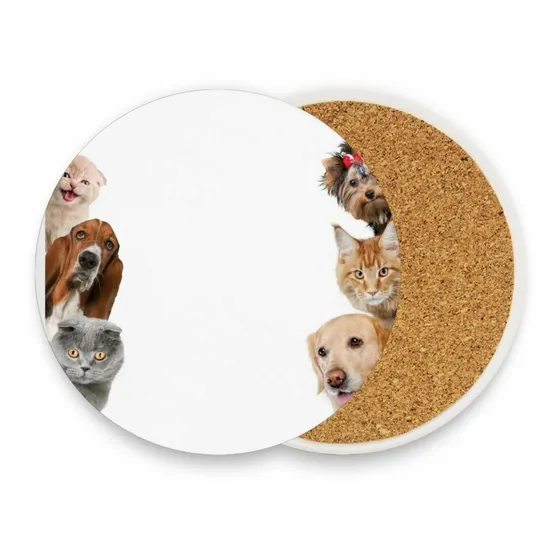 Posavaso Para Gato Perro Ceramica Juego 4 Divertido Casa