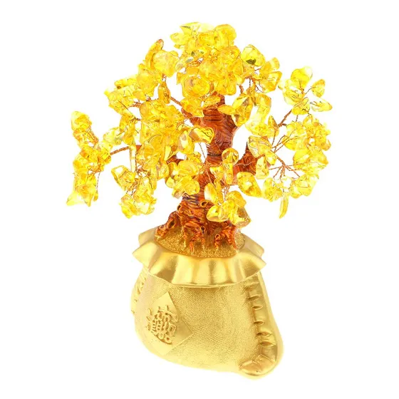 De Dinero De Chino Plantas En Macetas Cristal