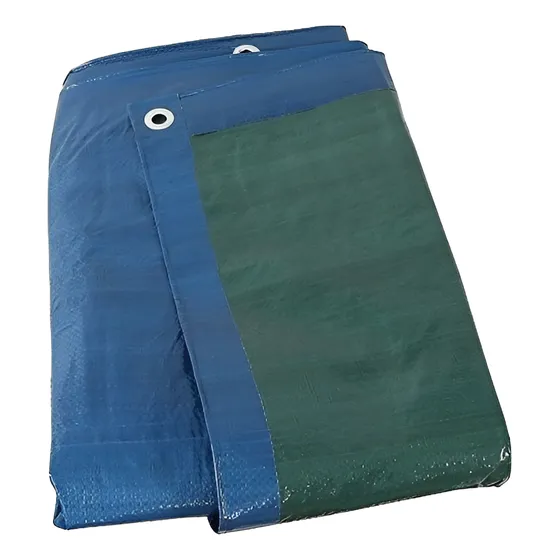 Lona Tipo Carretiero De Pvc Impermeable 2mt X 2mt Verde/azul