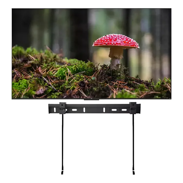 Television Tcl 65'' 65s451 4k Sin Bases + Soporte De Regalo