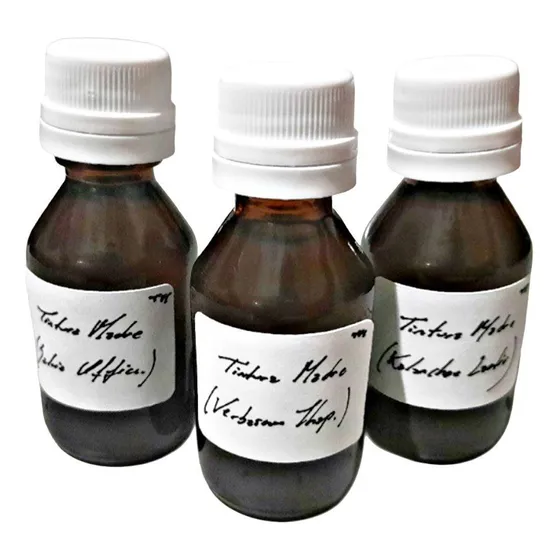 Tintura Madre De Cebolla Morada (allium Cepa)