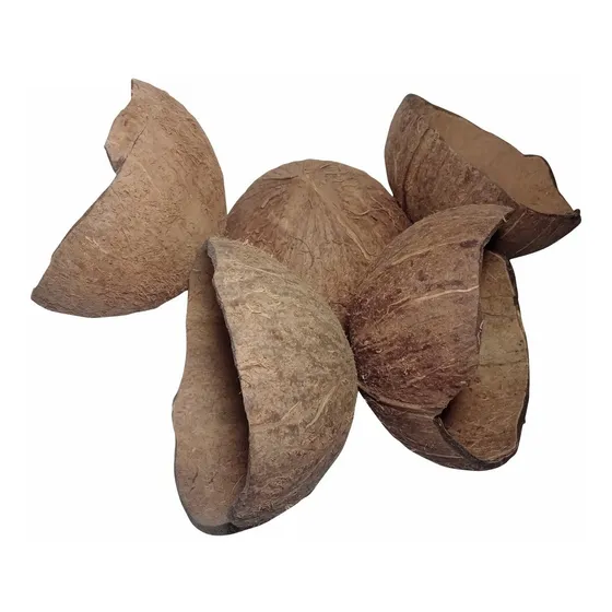 Casca De Coco Para Artesanato 10 Unidades Ou 10 Metades