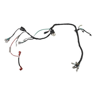 Arnes Principal Completo Rc200 Arnes Principal Completo Rc200