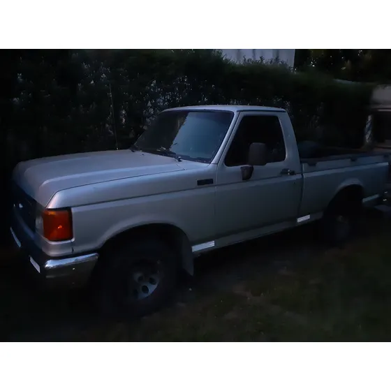 Ford F-100 4.9i