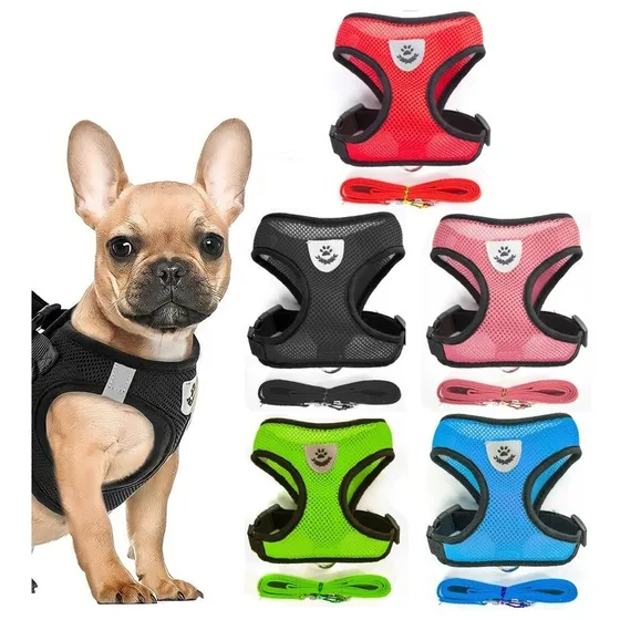 Coleira Peitoral Cachorros Cães E Gatos Filhote Shitzu Lulu