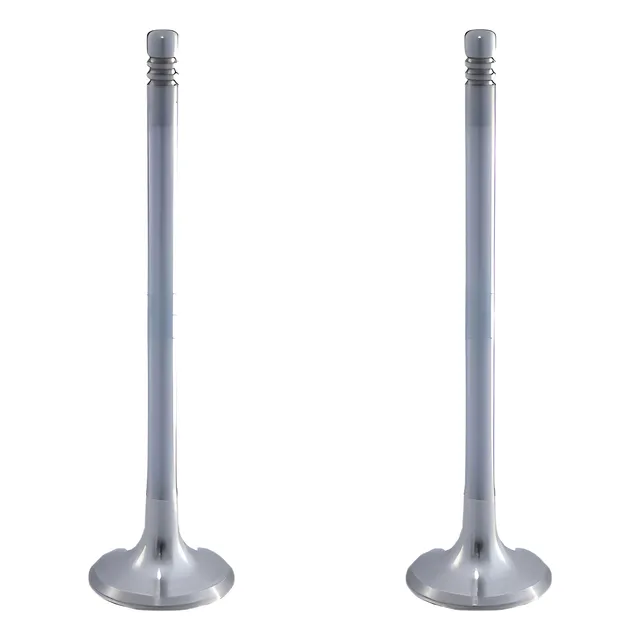 Valvula Dacomsa Para Chevrolet Corsa 1.4l 2002 2 Piezas