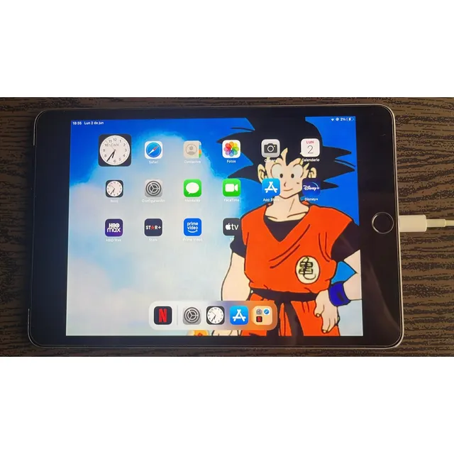 iPad Mini Cellular 10.9  128gb 8gb Ram Gris - iPad