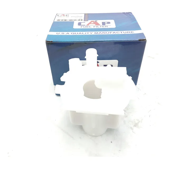 Filtro Gasolina Kia Picanto