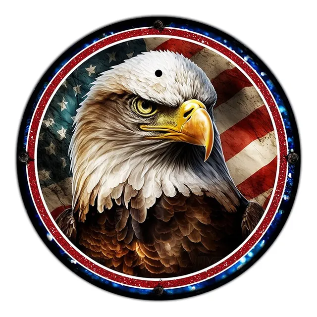 #776 - Cuadro Decorativo - Eeuu Águila Bandera Usa No Chapa