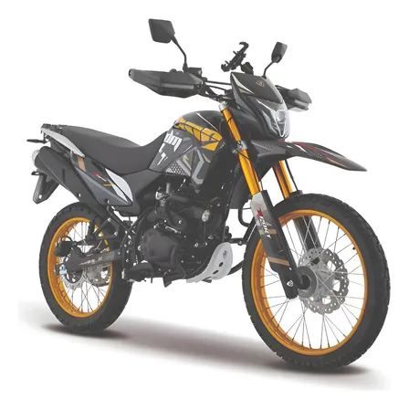 Motocicleta Doble Propósito Italika Dm300 Dorado Dorado Oscuro