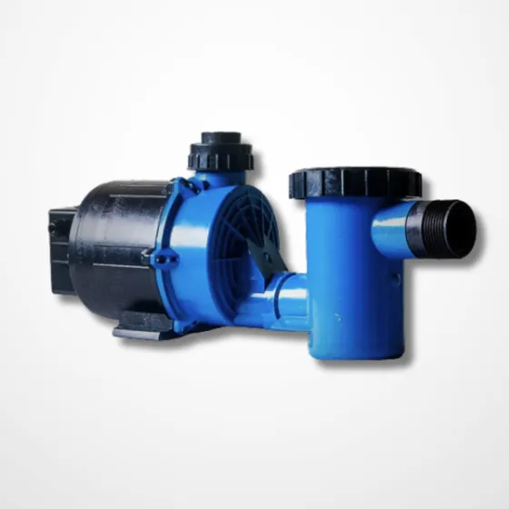 Motobomba Com Pré-filtro Para Banheira Hidromassagem 1 Cv