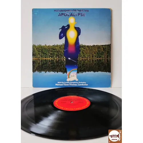 Lp Siouxsie And The Banshees Hyaena | MercadoLivre