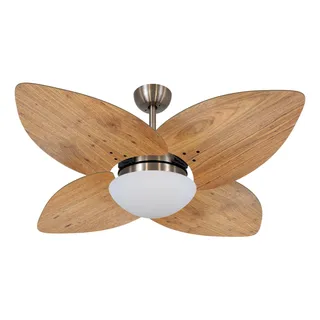 Ventilador Teto Volare Bronze Dunamis RĂĄdica FreijĂł 110v Ventilador Teto Volare Bronze Dunamis RĂĄdica FreijĂł 110v