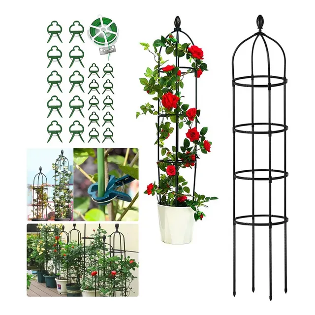 Soporte Tutor Plantas Trepadoras Enredaderas Rosales 180cm