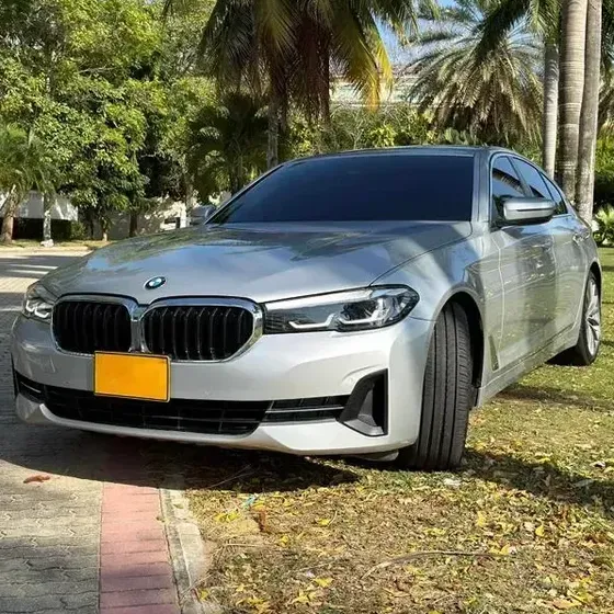 BMW Serie 5 2021 2.0 530i G30