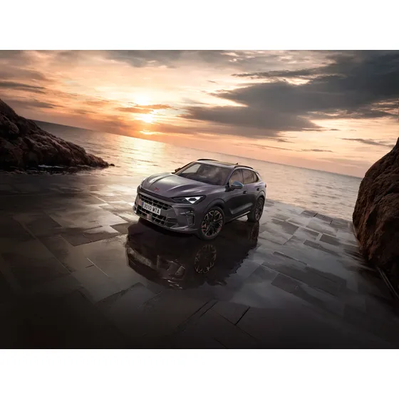 Cupra Terramar 1.5